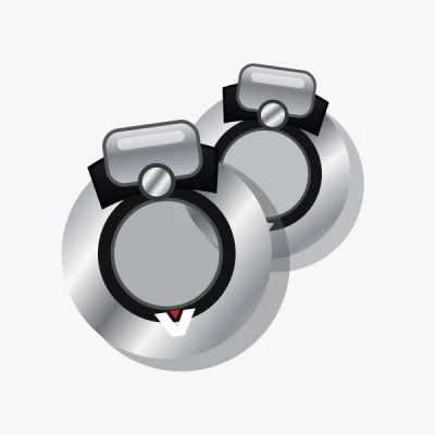 Olympic Barbell Collars